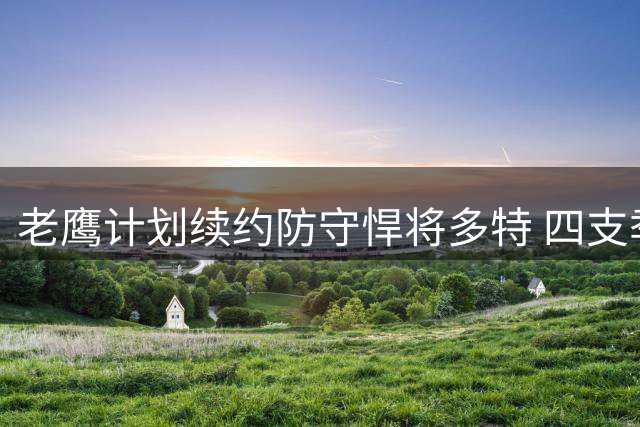 老鹰计划续约防守悍将多特 四支季后赛球队曾参与争夺战